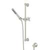 Single-Function Handshower Set with Cross Handle in Polished Nickel