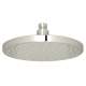 1075/8PN 8-in Rain Showerhead, Polished Nickel