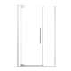SMRDPD4876108C-BS Reverie Duo 48-in x 76-in Pivot Shower Door With 5/16-in Clear Glass And Sampson Double-Sided Handles, Brushed Stainless