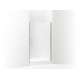 5699-42N-G03 Finesse Peak 42-in Max Opening X 67-in H Headerless Frameless Pivot Shower Door, Nickel