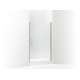 5699-42N-G05 Finesse Peak 42-in Max Opening X 67-in H Headerless Frameless Pivot Shower Door, Nickel