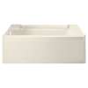 60-in L x 32-in W Rectangular Skirted Bathtub with Left-Hand Drain in Biscuit