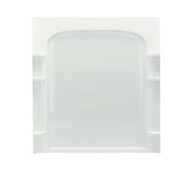 Ensemble Vikrell 60-In X 72-1/2-In Shower Back Panel