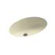 19.625-in W x 16-in D x 5.625-in H Solid Surface Undermount Bathroom Sink in Bone