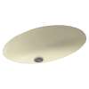 22.5-in W x 16-in D x 5.625-in H Solid Surface Undermount Bathroom Sink in Bone