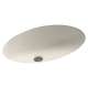 22.5-in W x 16-in D x 5.625-in H Solid Surface Undermount Bathroom Sink in Tahiti Matrix