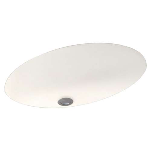22.5-in W x 16-in D x 5.625-in H Solid Surface Undermount Bathroom Sink in Tahiti Ivory