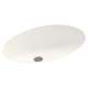 22.5-in W x 16-in D x 5.625-in H Solid Surface Undermount Bathroom Sink in Tahiti Ivory
