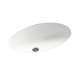 19.625-in W x 16-in D x 5.625-in H Solid Surface Undermount Bathroom Sink in Tahiti White