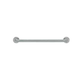 24-in D x 1.25-in W x 1.25-in H Stainless Steel Grab Bar