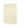 60-in W x 72-in H Solid Surface Shower Wall Panel in Bone