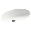 22.5-in W x 16-in D x 5.625-in H Solid Surface Undermount Bathroom Sink in Tahiti White