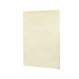 62-in W x 96-in H Solid Surface Shower Wall Panel