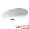 22.5-in W x 16-in D x 5.625-in H Solid Surface Undermount Bathroom Sink in Golden Steppe