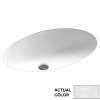 22.5-in W x 16-in D x 5.625-in H Solid Surface Undermount Bathroom Sink in Ice
