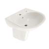 22-7/8-in Wall Mounted Bathroom Sink with Single Faucet Hole Drilled, Overflow and SanaGloss Ceramic Glaze in Cotton