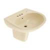 22-7/8-in Wall Mounted Bathroom Sink with Single Faucet Hole Drilled, Overflow and SanaGloss Ceramic Glaze in Bone