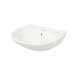 Supreme LT241G#01 22-7/8-in Wall Mounted Bathroom Sink with Single Faucet Hole Drilled, Overflow and SanaGloss Ceramic Glaze in Cotton