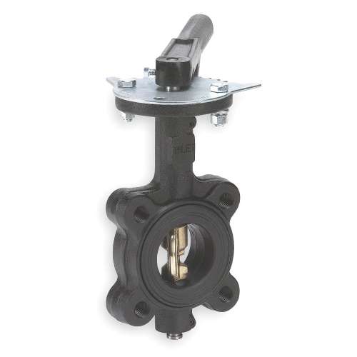 Butterfly Valve, 2 1/2in