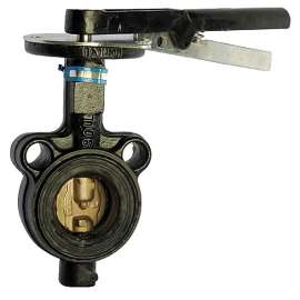 Butterfly Valve, 4in