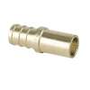 39914-BX ADAPTER 1/2 BRASS INSERTXSPG SWEAT 46633 LEAD FREE